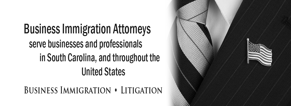 black and white banner image for immigration litigation practice